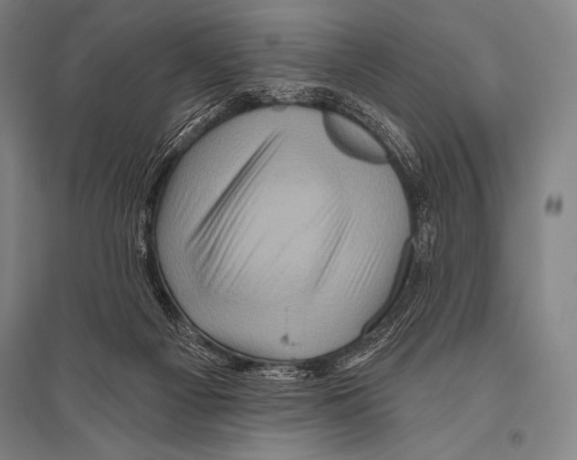 X0000094810121200712141631