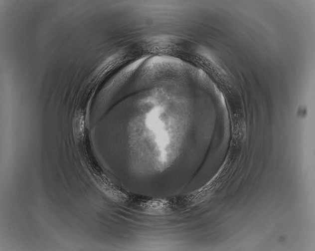 X0000094810124200712141630