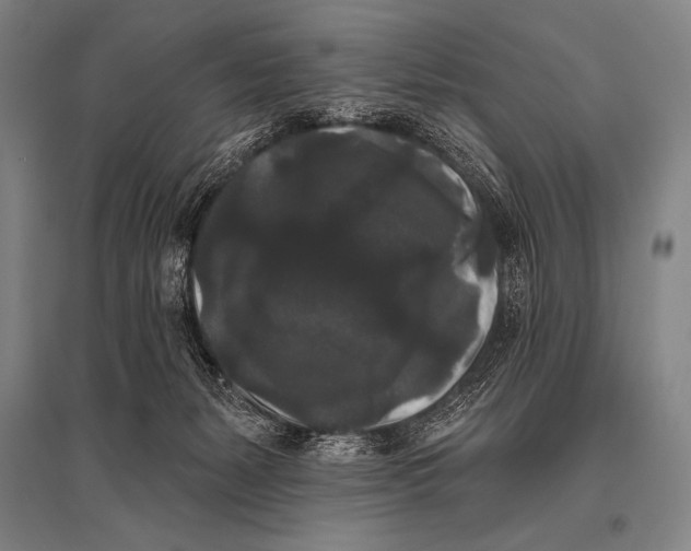 X0000094810127200712141630