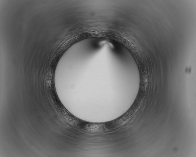 X0000094810129200712141630