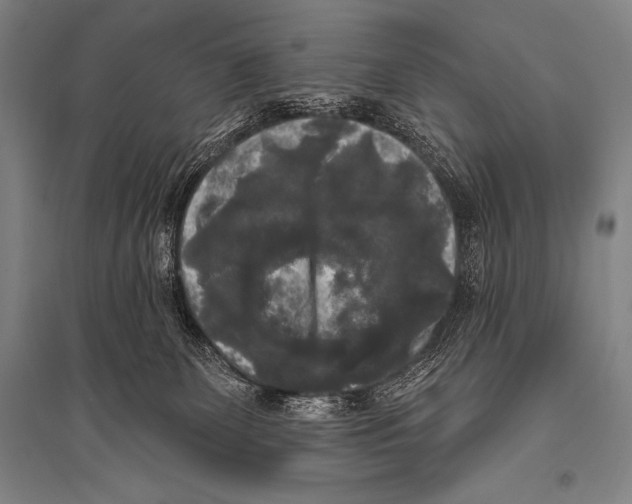 X0000094810131200712141630