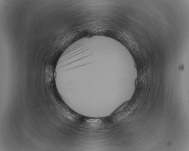 X0000094810133200712141630