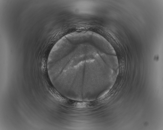 X0000094810134200712141630