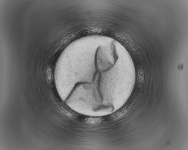 X0000094810135200712141630