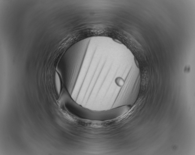 X0000094810136200712141630