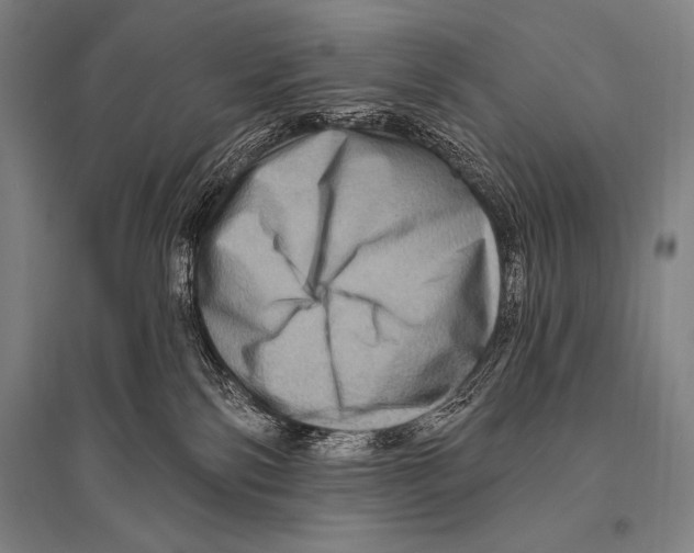 X0000094810138200712141630