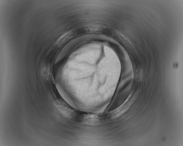 X0000094810140200712141630