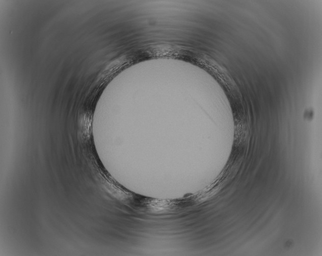 X0000094810142200712141630