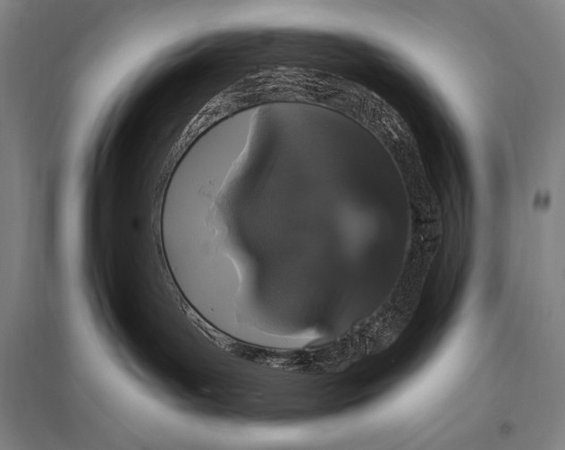 X0000094810143200712141630