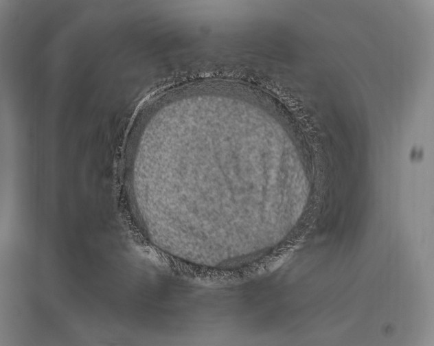 X0000094810144200712141630