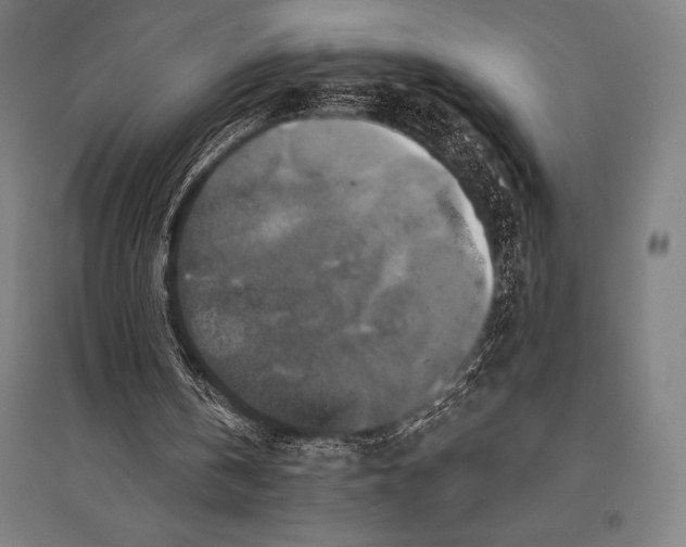 X0000094810146200712141630