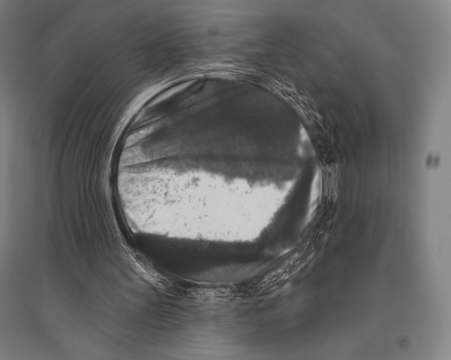 X0000094810147200712141630