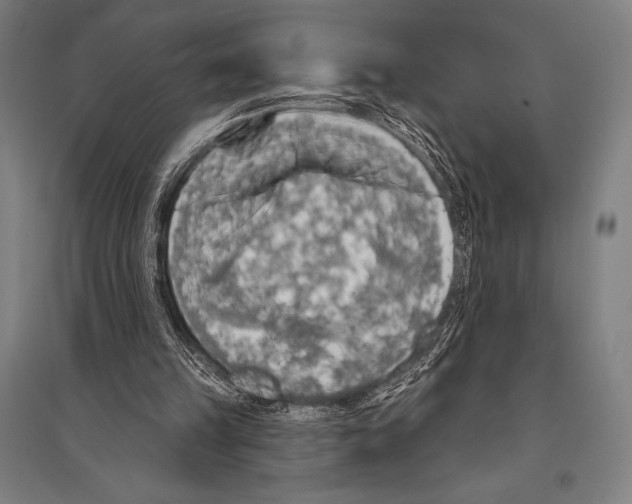 X0000094810149200712141630