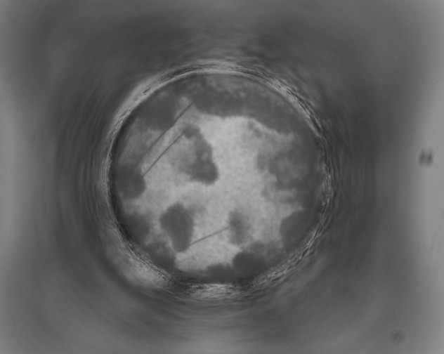 X0000094810151200712141630