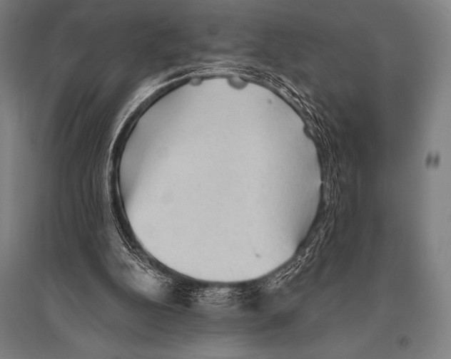 X0000094810152200712141630