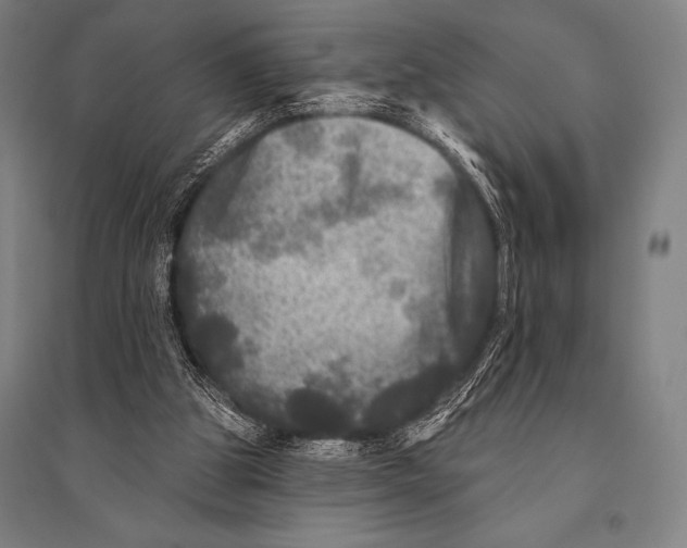 X0000094810153200712141630