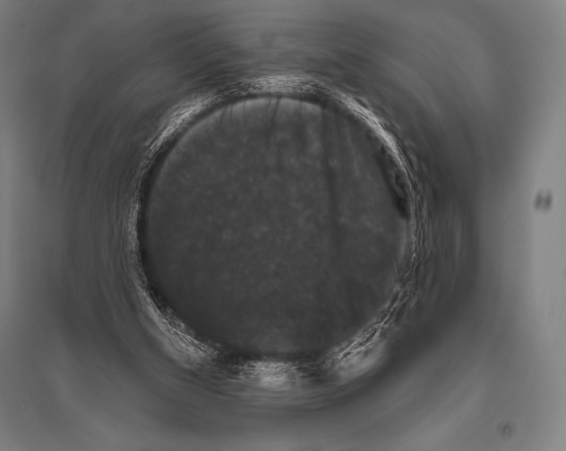 X0000094810154200712141630