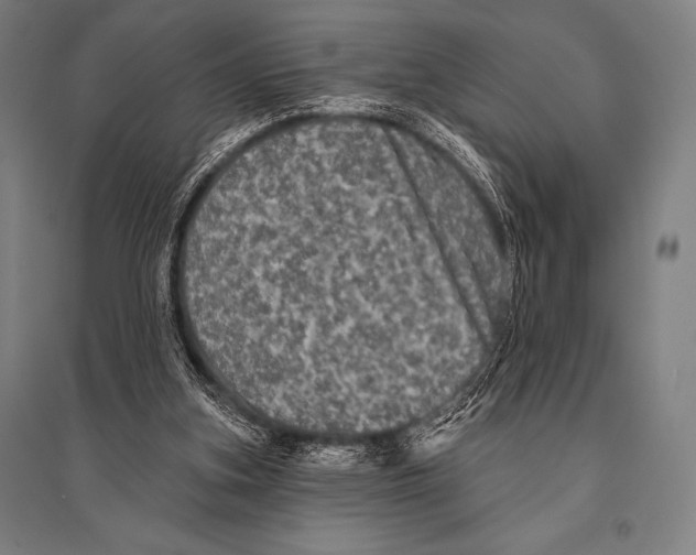 X0000094810155200712141630