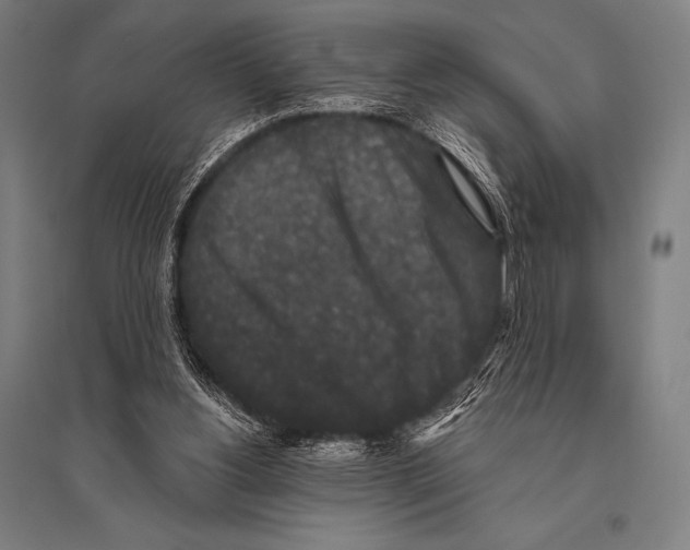 X0000094810156200712141630