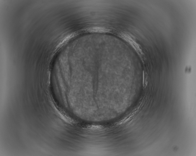 X0000094810157200712141630