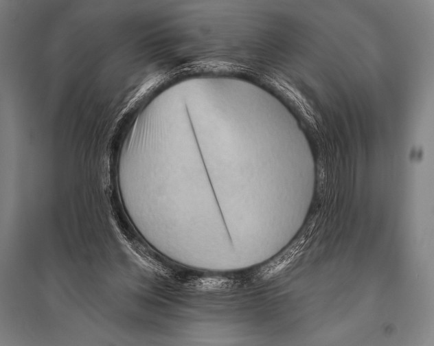 X0000094810158200712141630