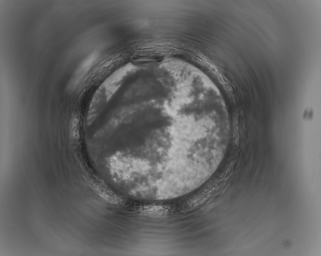 X0000094810161200712141630