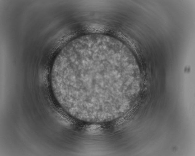 X0000094810162200712141630