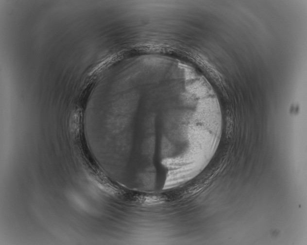 X0000094810165200712141630