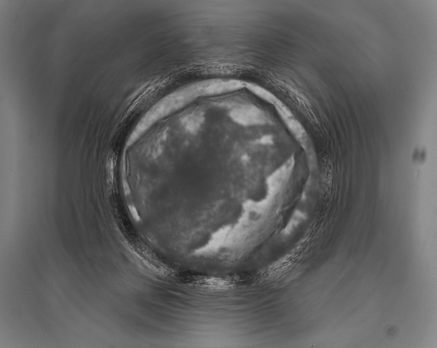 X0000094810166200712141630