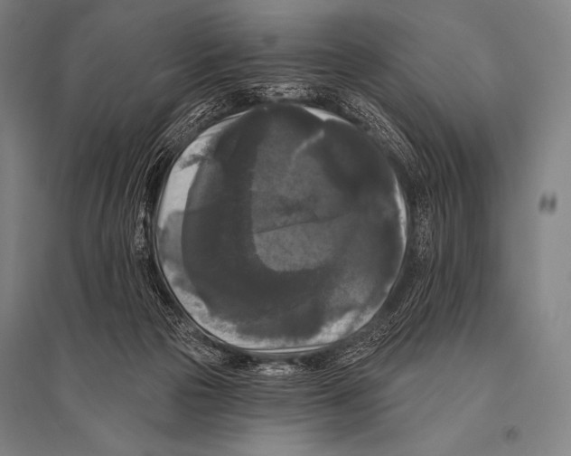 X0000094810169200712141630