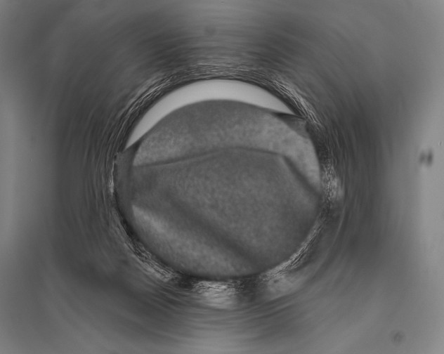 X0000094810170200712141630