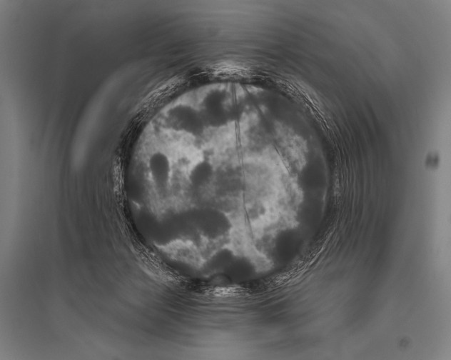 X0000094810173200712141630