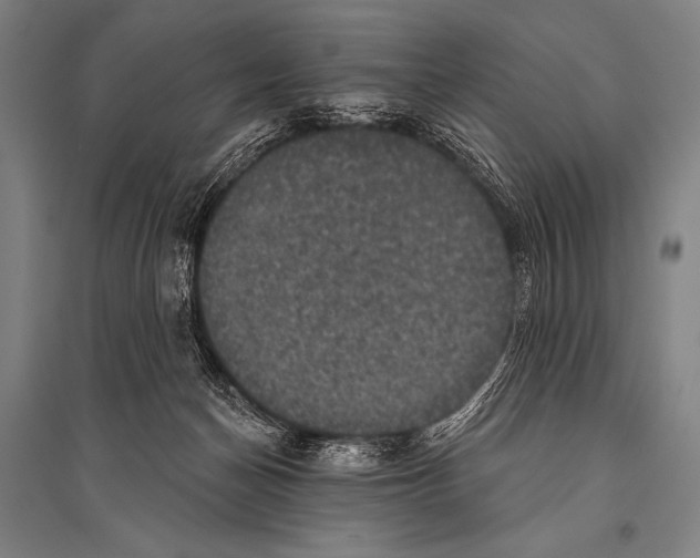 X0000094810174200712141630