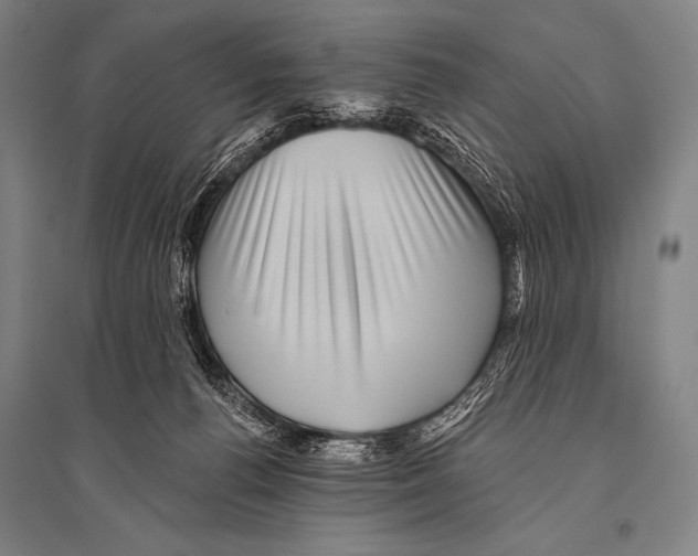 X0000094810176200712141630