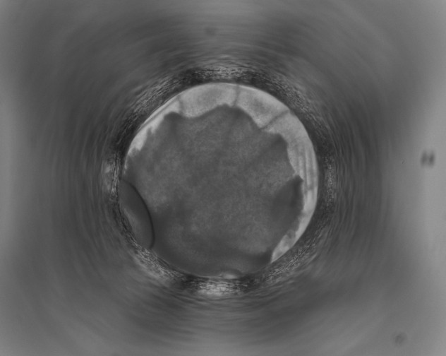 X0000094810177200712141630