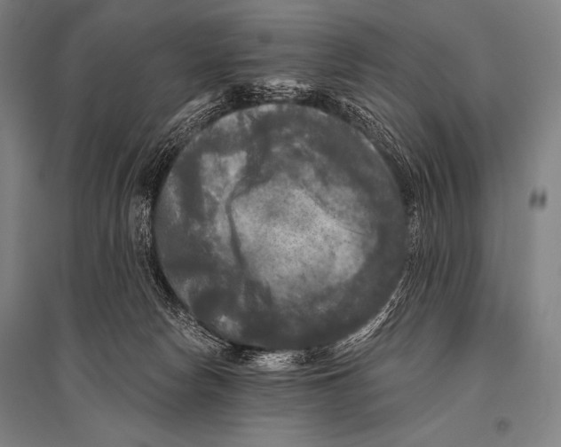 X0000094810178200712141630