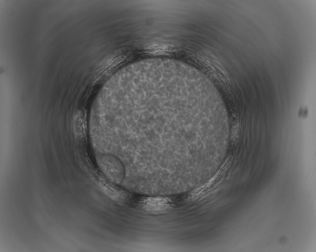 X0000094810179200712141630