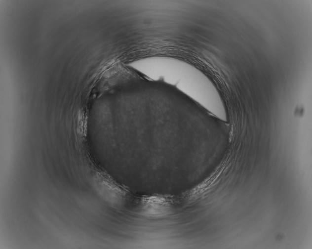 X0000094810180200712141630