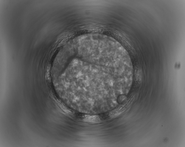 X0000094810185200712141630