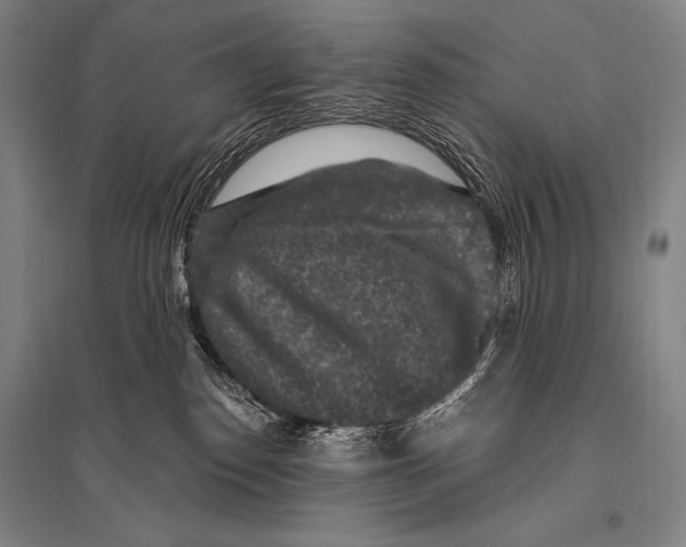 X0000094810186200712141630