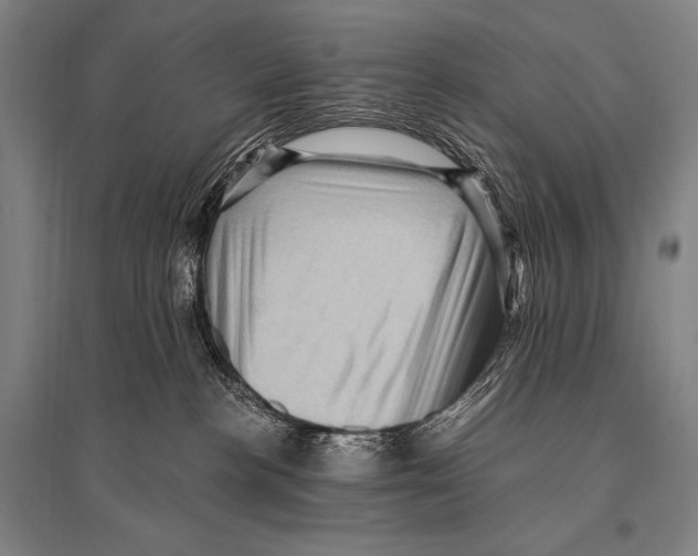 X0000094810188200712141630