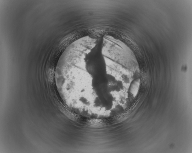 X0000094810189200712141630