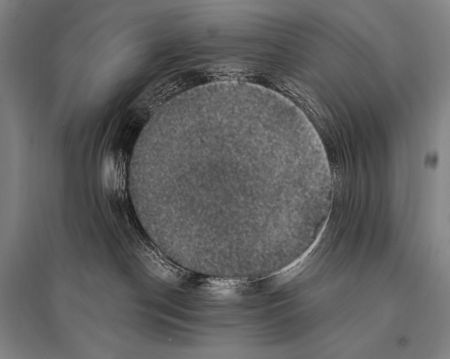 X0000094810190200712141630