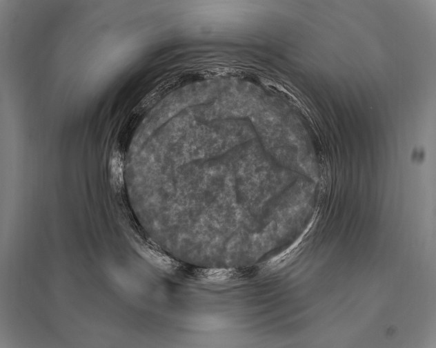 X0000094810191200712141630