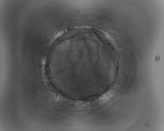 X0000094810192200712141630