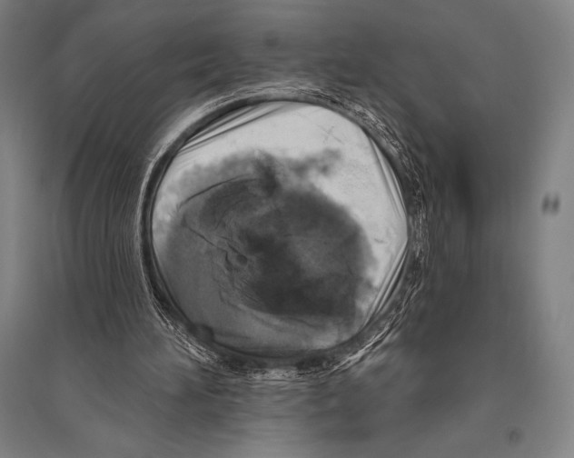 X0000094810196200712141629