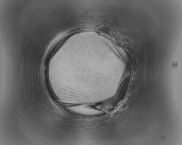 X0000094810197200712141629