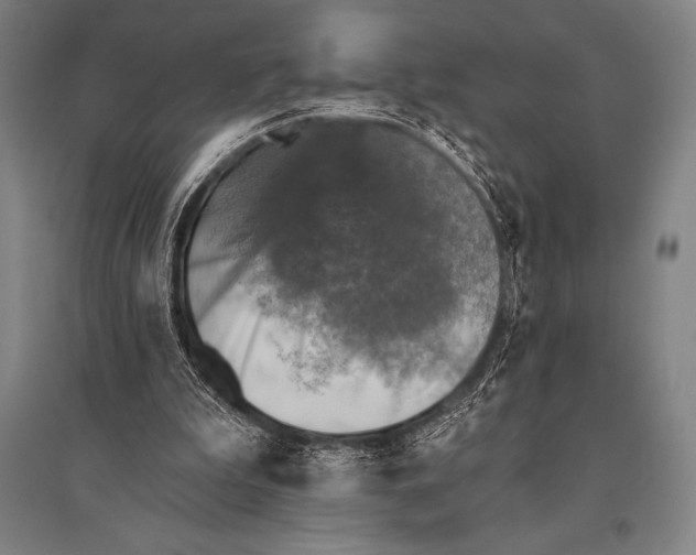 X0000094810199200712141629