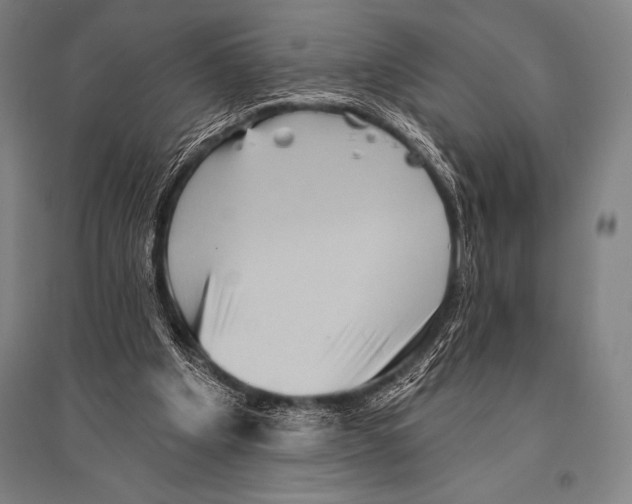 X0000094810201200712141629