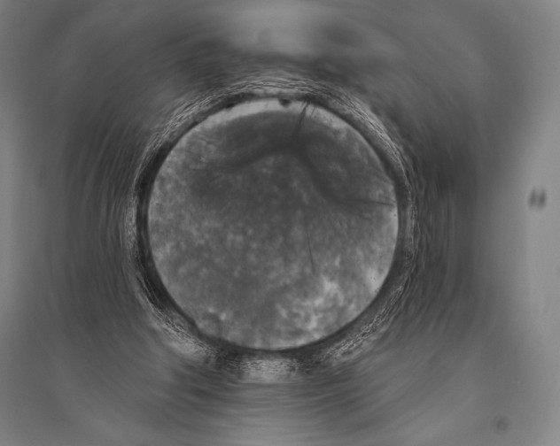 X0000094810202200712141629